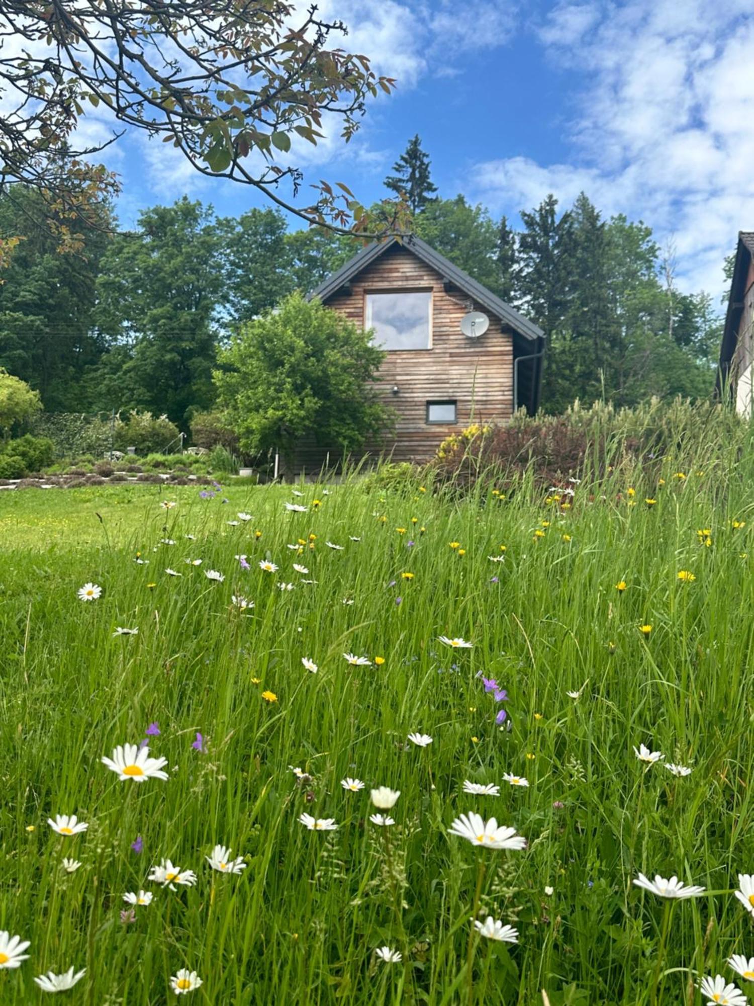 Wellness Apartmany Cesky Raj & Biokolna Lomnice nad Popelkou Esterno foto